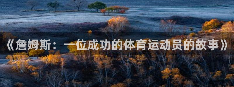 意昂5Kgame体育注册：《詹姆斯：一位成功的体育运动员的故事》