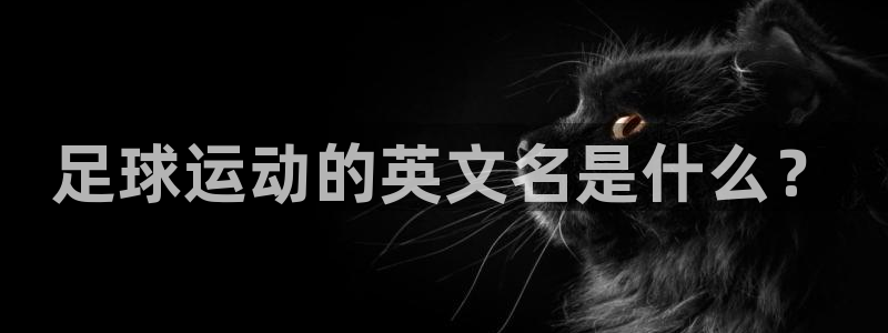 意昂5Kgame体育注册平台：足球运动的英文名是什么？
