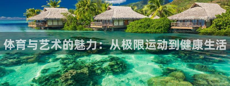 意昂5Kgame凯捷平台：体育与艺术的魅力：从极限运动到健康生活