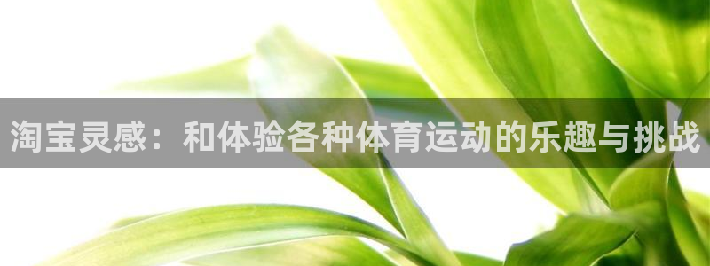 意昂5Kgame体育热门赛事有哪些：淘宝灵感：和体验各种体育运动的乐趣与挑战