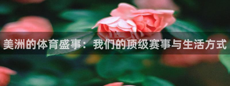 www.意昂5Kgame体育.com：美洲的体育盛事：我们的顶级赛事与生活方式
