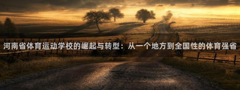 意昂5Kgame体育和杏耀是哪个公司的：河南省体育运动学校的崛起与转型：从一个地