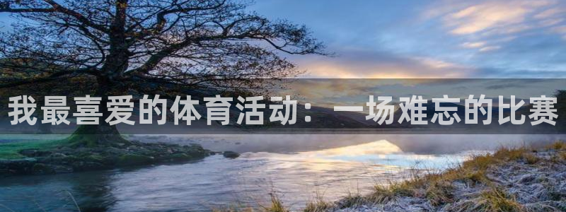 福建意昂5Kgame机电股份公司：我最喜爱的体育活动：一场难忘的比赛