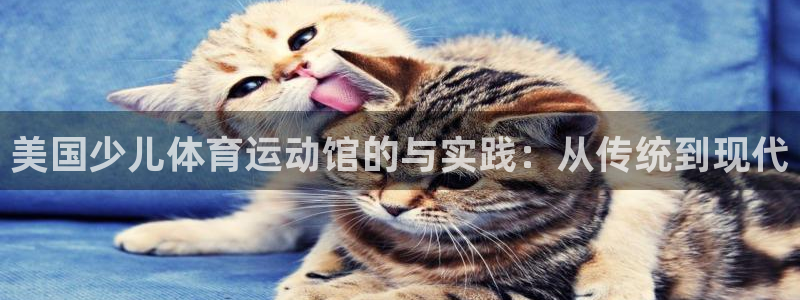 德国意昂5Kgame集团：美国少儿体育运动馆的与实践：从传统到现代