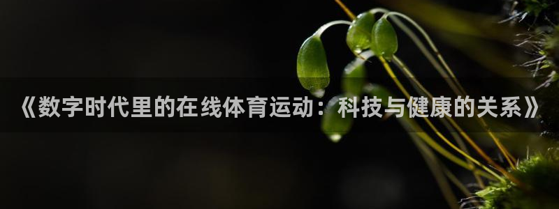 意昂5Kgame3平台登录注册：《数字时代里的在线体育运动：科技与健康的关系》