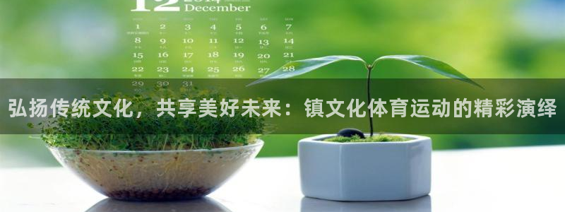 意昂5Kgame体育2：弘扬传统文化，共享美好未来：镇文化体育运动的精彩演绎