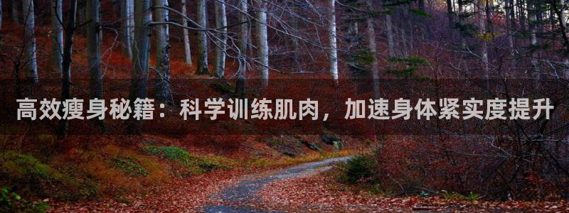 意昂5kgame官网入口：高效瘦身秘籍：科学训练肌肉，加速身体紧实度提升