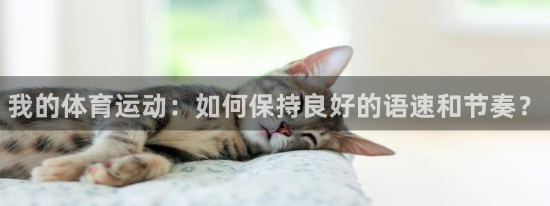 成都意昂5Kgame电子有限公司：我的体育运动：如何保持良好的语速和节奏？