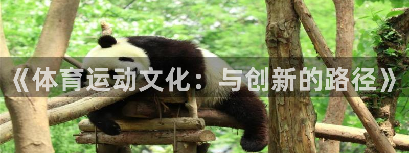 意昂5Kgame2注册：《体育运动文化：与创新的路径》