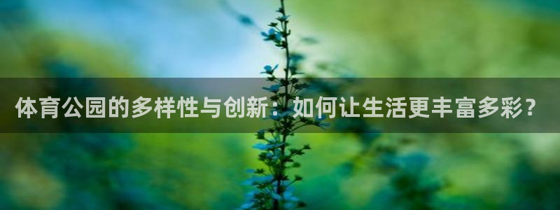 意昂5Kgame：体育公园的多样性与创新：如何让生活更丰富多彩？