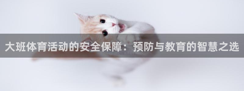 意昂5Kgame体育凯捷平台主管：大班体育活动的安全保障：预防与教育的智慧之选
