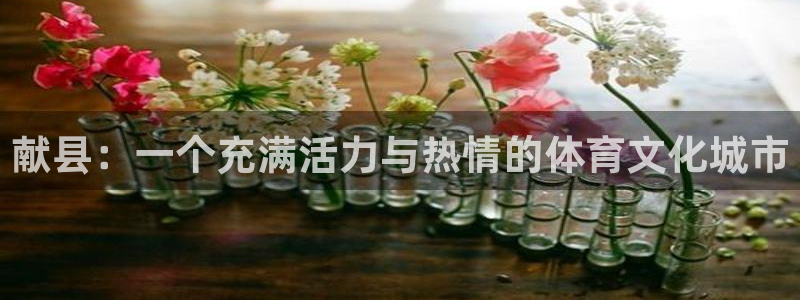 意昂5Kgame2登录：献县：一个充满活力与热情的体育文化城市