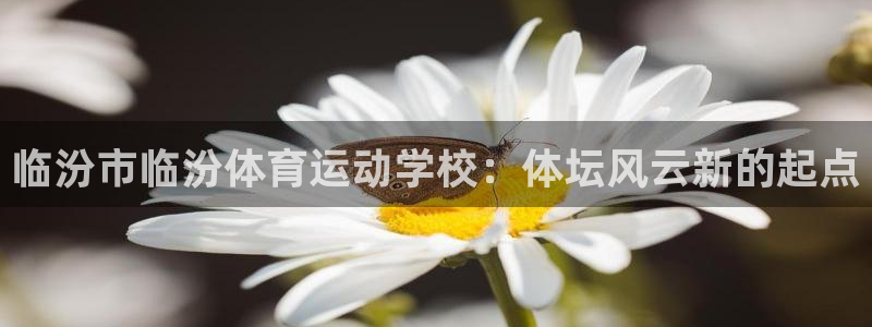 意昂5Kgame零能源集团：临汾市临汾体育运动学校：体坛风云新的起点