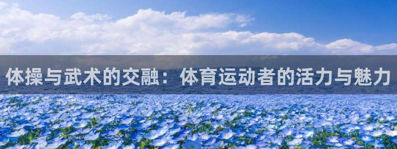 意昂5Kgame2代理注册：体操与武术的交融：体育运动者的活力与魅力