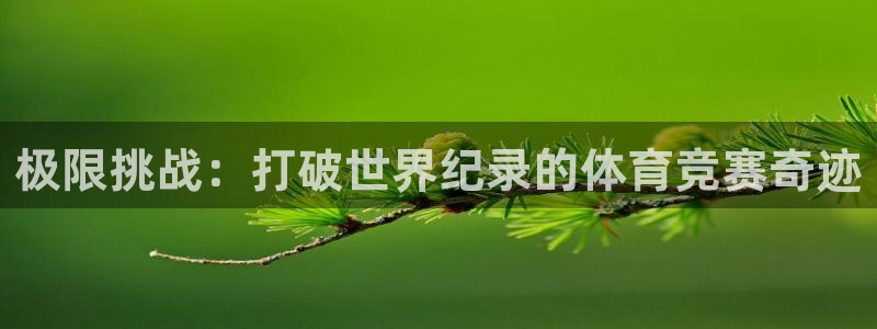 意昂5Kgame集团官网：极限挑战：打破世界纪录的体育竞赛奇迹