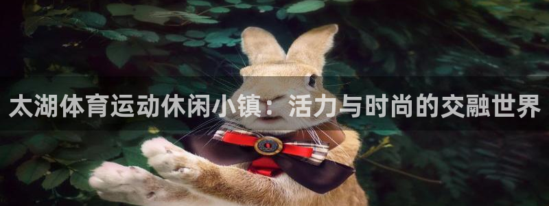 意昂5Kgame能源：太湖体育运动休闲小镇：活力与时尚的交融世界