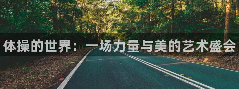 意昂5Kgame3注册：体操的世界：一场力量与美的艺术盛会
