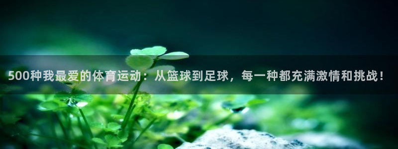 意昂5Kgame体育代理申请流程：500种我最爱的体育运动：从篮球到足球，每一种都充满激情和挑战！